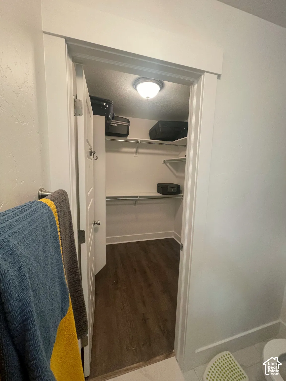 Walk-in closet featuring wood-finish flooring, built-in shelving, and a flush mount light fixture