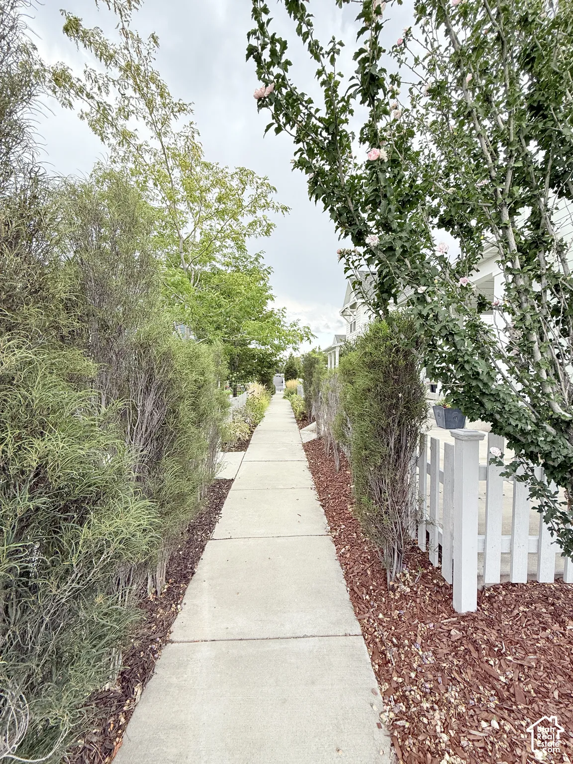 Concrete walkway leading to house