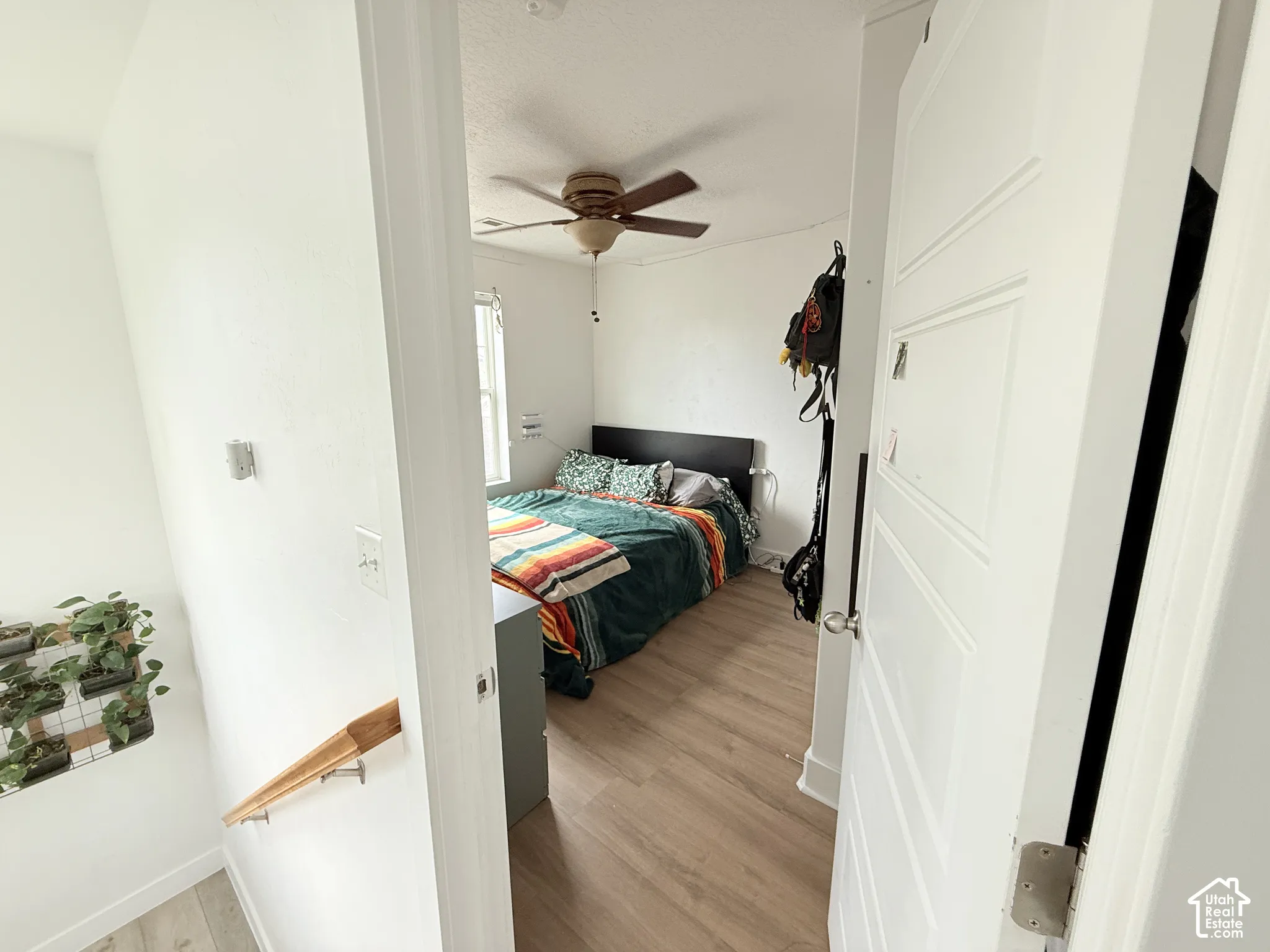 Room featuring wood-finish flooring, a ceiling fan, and a window