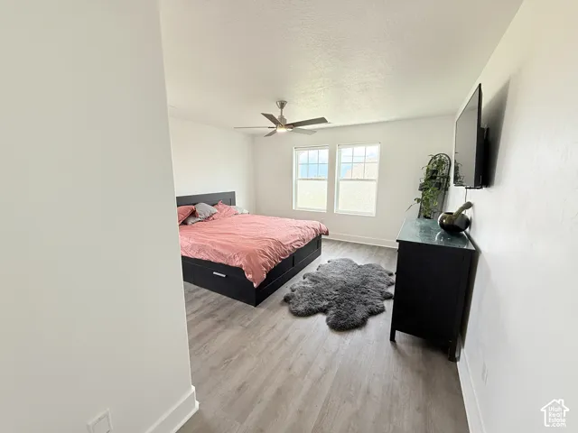 Wood-finish flooring, two large windows, ceiling fan, and white walls