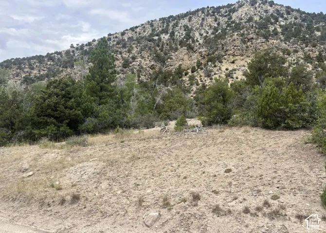 Natural terrain with varied vegetation and a prominent mountainous backdrop
