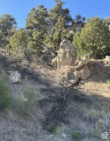 Natural rock formations and diverse evergreen trees define the rugged terrain