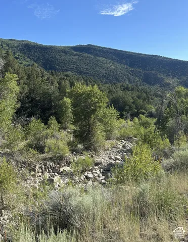 Mountainous terrain with natural rock formations and abundant natural vegetation