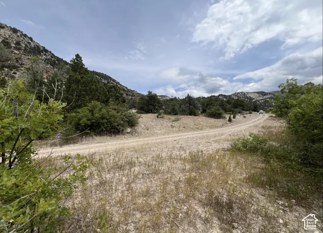 Rolling terrain with a gravel path, surrounded by abundant natural foliage and distant mountainous landscapes