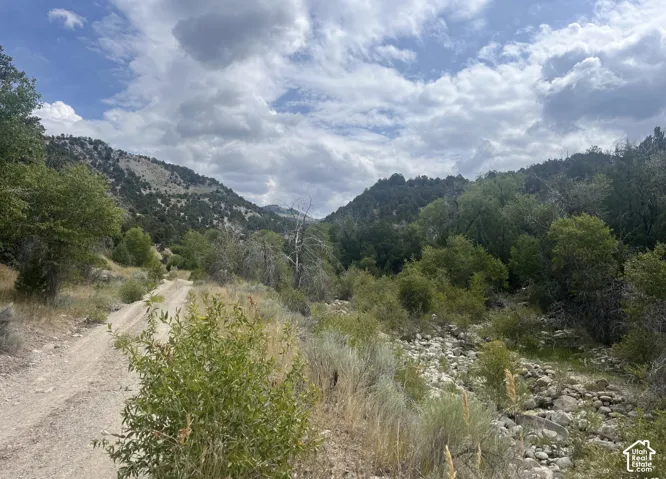 Mountainous terrain with lush green foliage, a gravel road, and a dry creek bed