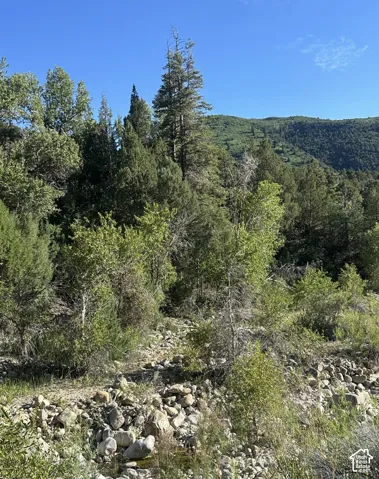 Expansive mountain terrain featuring diverse evergreen and deciduous trees