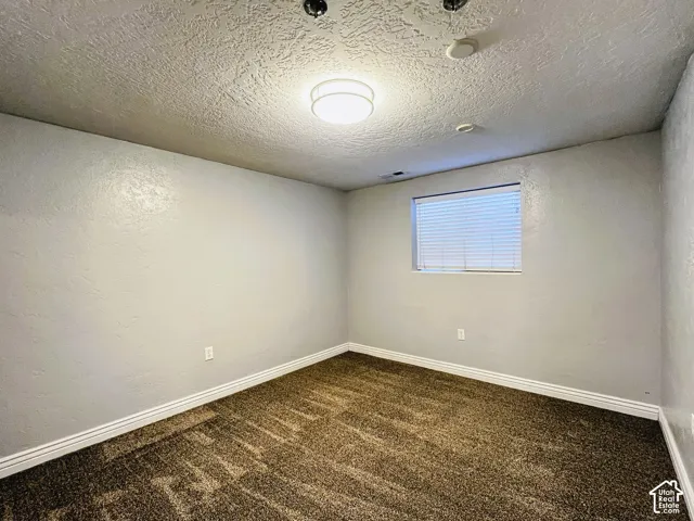 Neutral wall color with a textured finish, patterned carpet flooring, and a single window with blinds