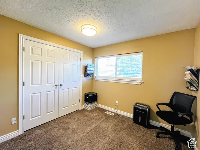 Warm-toned wall paint, textured ceiling, flush-mount ceiling light, white window blinds, and paneled closet doors
