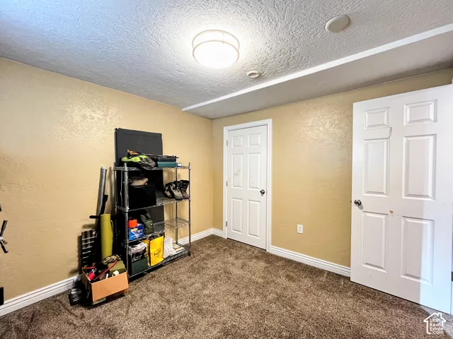 Carpeted flooring, two paneled doors, and a ceiling-mounted light fixture
