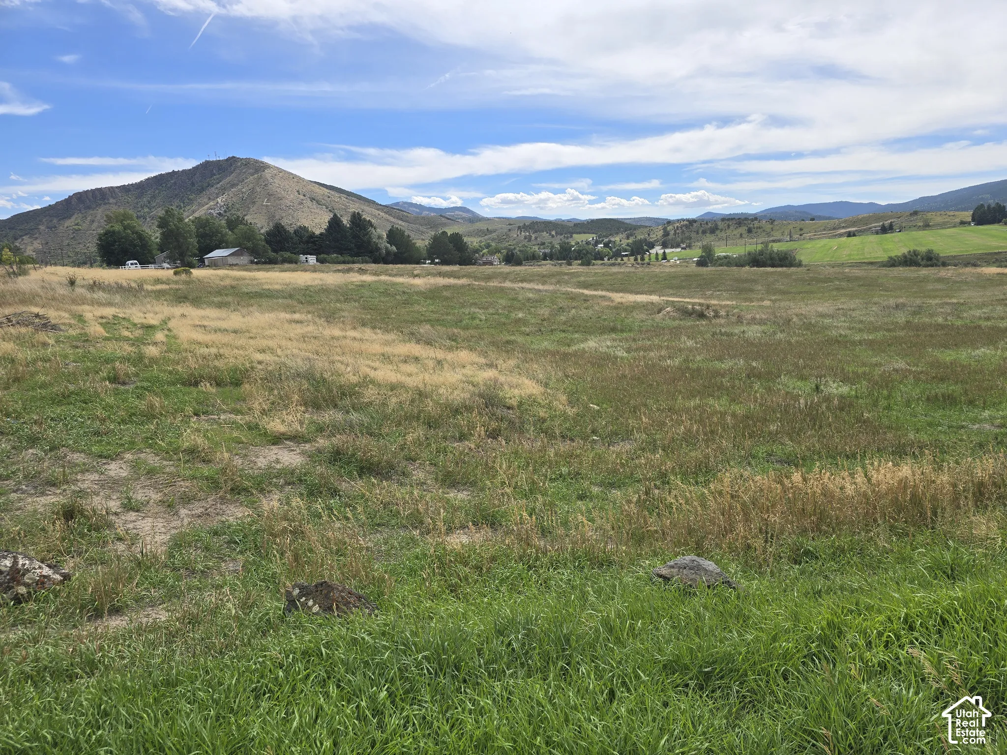 Expansive open field with varied green and golden grasses, featuring distant mountain ranges and scattered trees