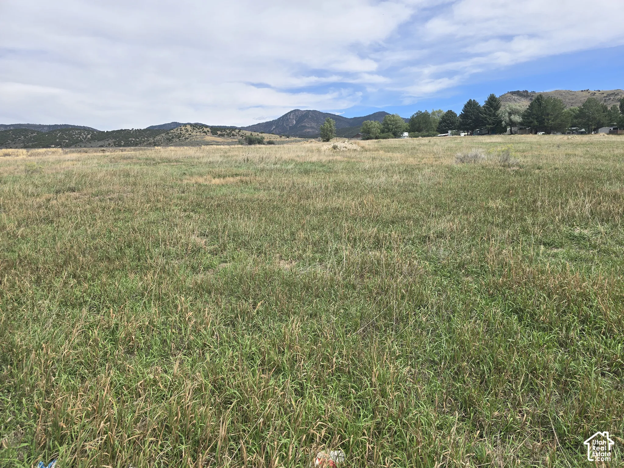 Expansive grass field with distant mountains and scattered trees