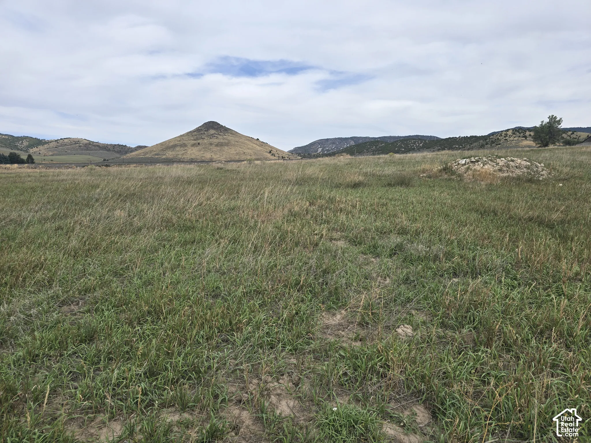 Expansive open field with natural vegetation and distant rolling hills