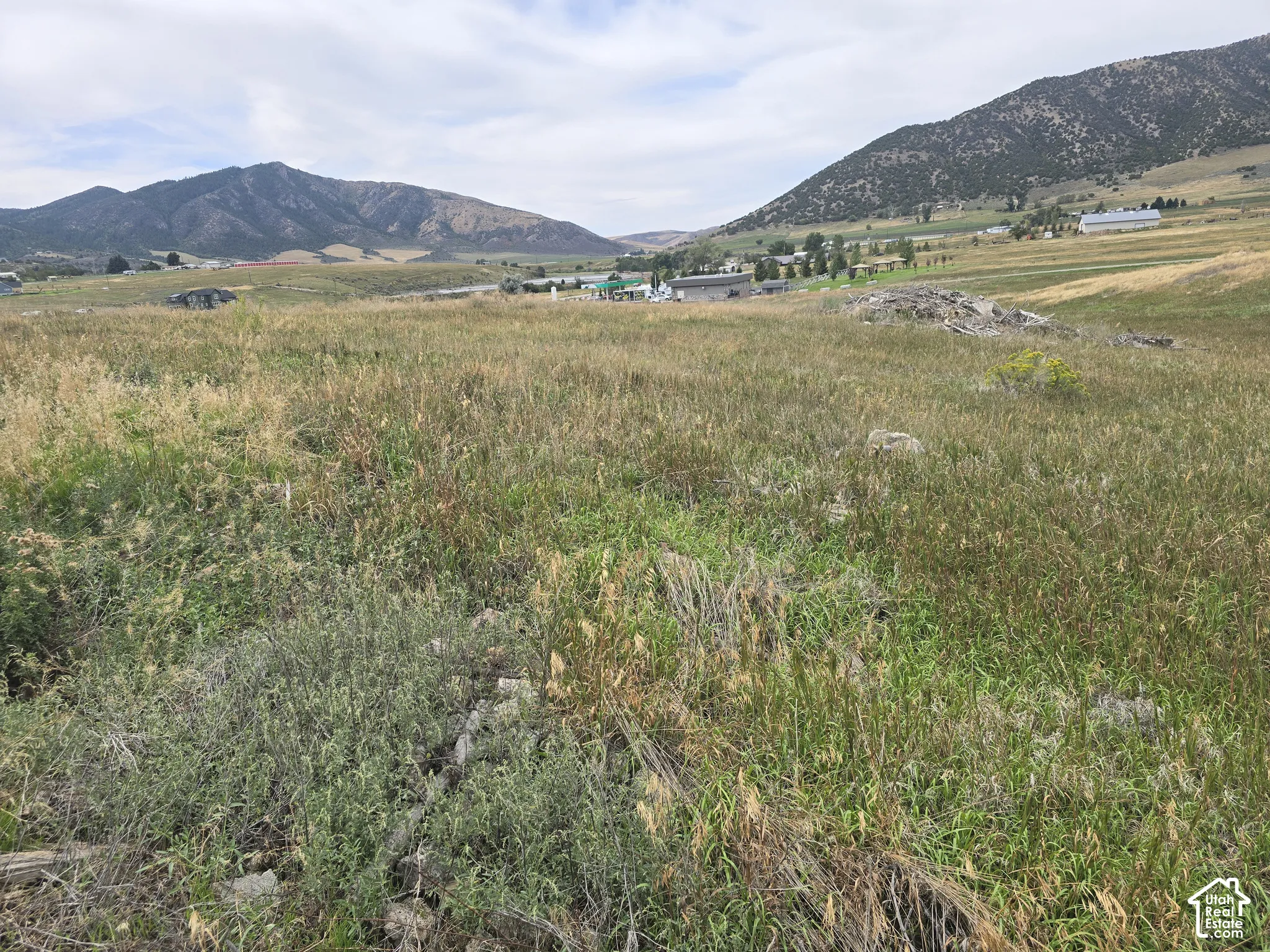 Expansive open land featuring diverse natural vegetation and distant mountainous terrain