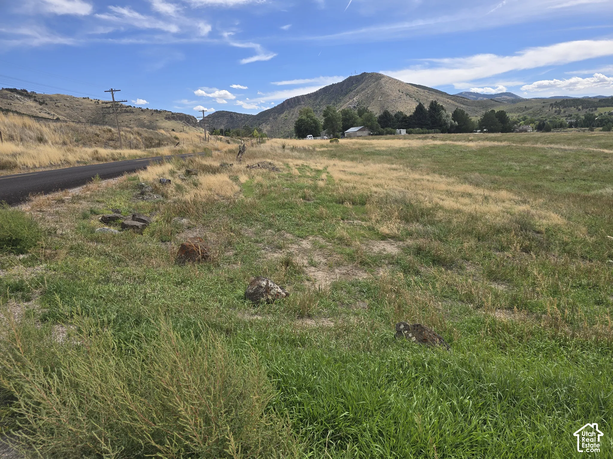 Expansive open field with natural grass and scattered rock formations