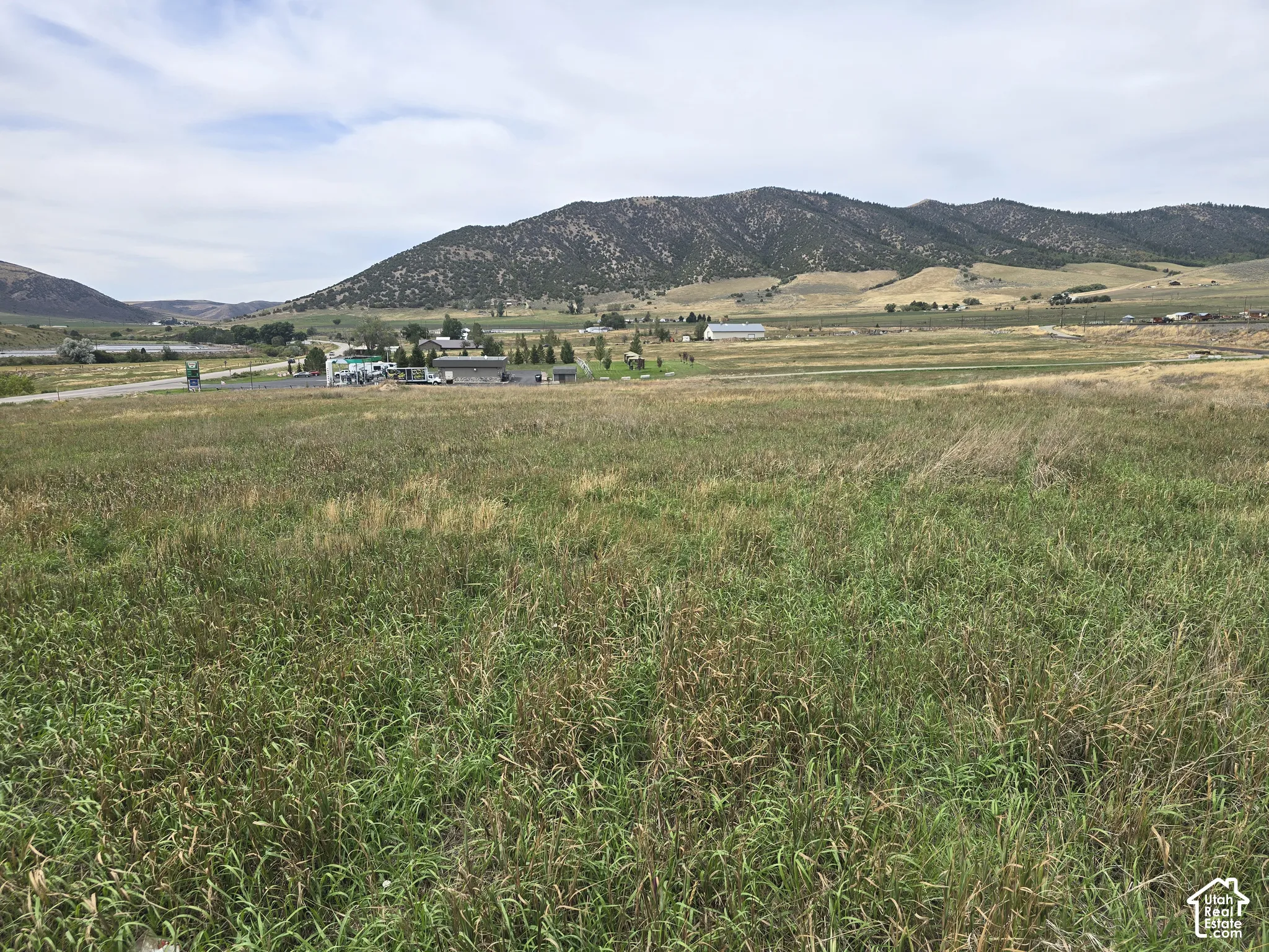 Expansive grassy terrain with distant mountainous backdrop
