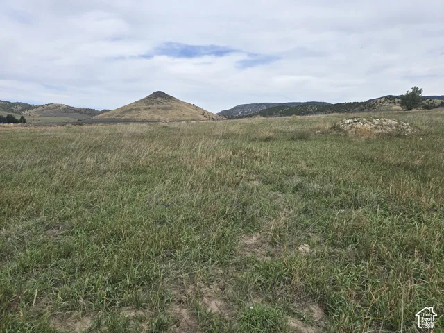 Expansive open field with natural vegetation and distant rolling hills