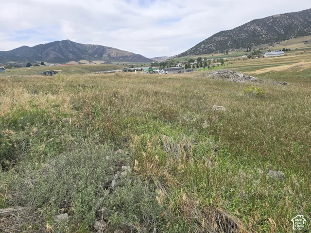 Expansive open land featuring diverse natural vegetation and distant mountainous terrain