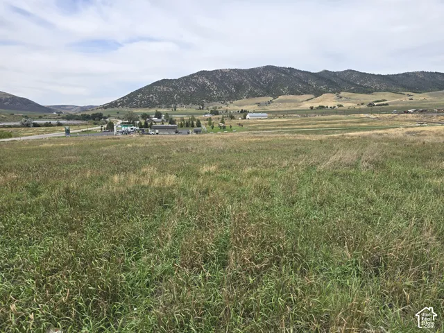 Expansive grassy terrain with distant mountainous backdrop