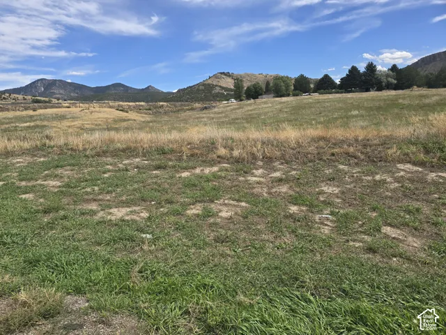 Expansive land parcel featuring natural grasses and distant mountainous terrain