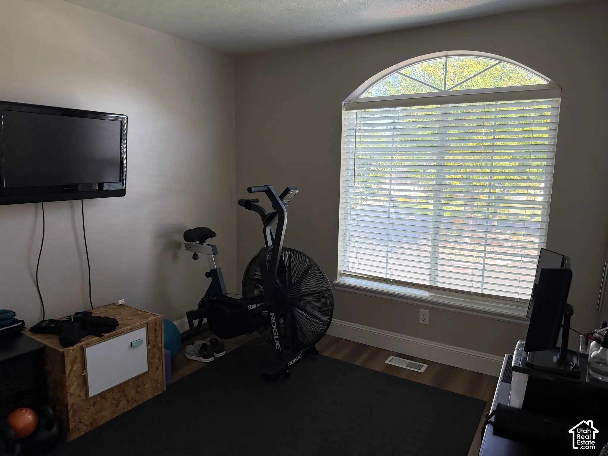 Arch-top window with blinds, wood-finish flooring, and neutral wall paint