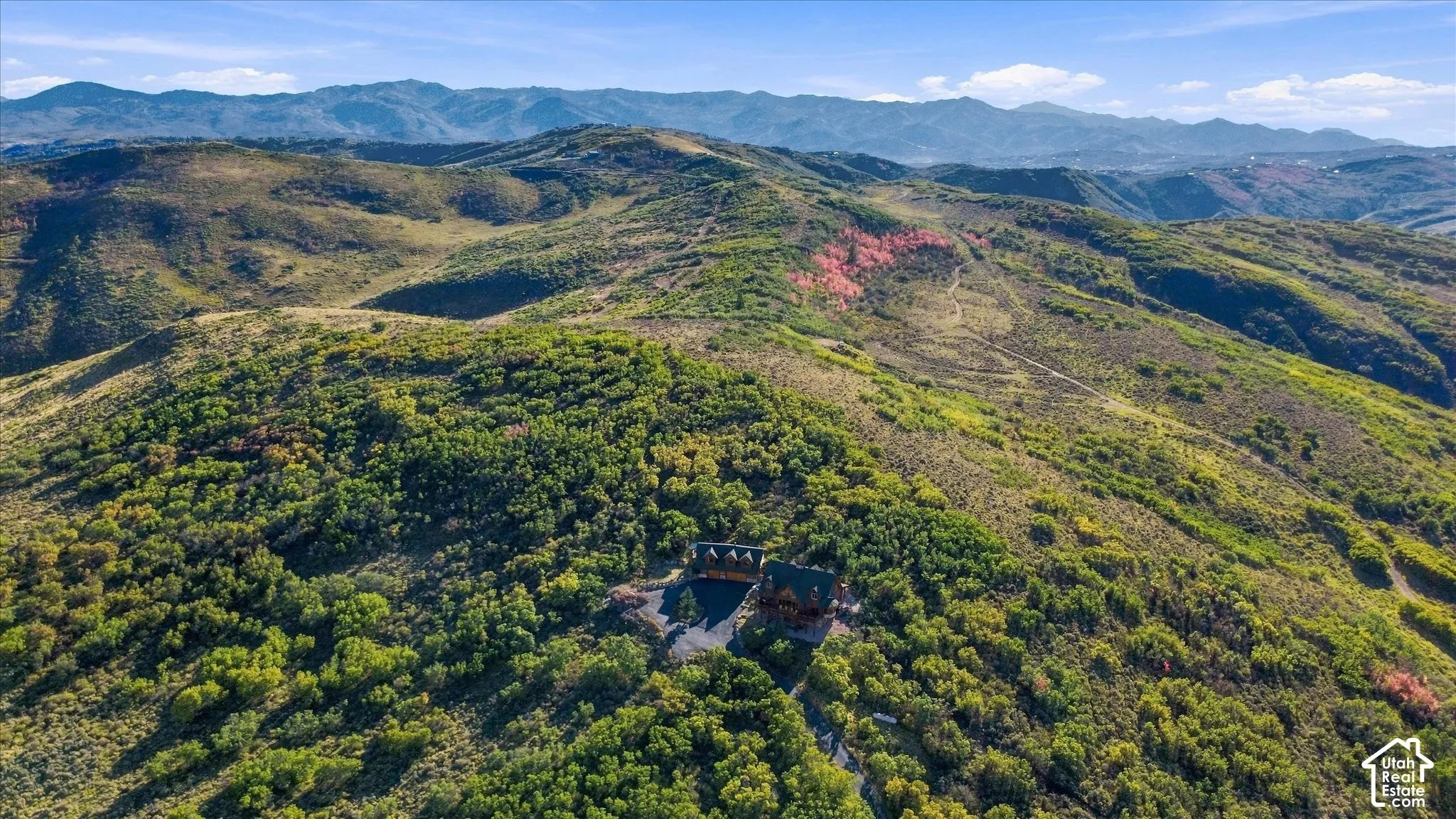 Expansive mountainous terrain with varied green foliage and distant mountain range