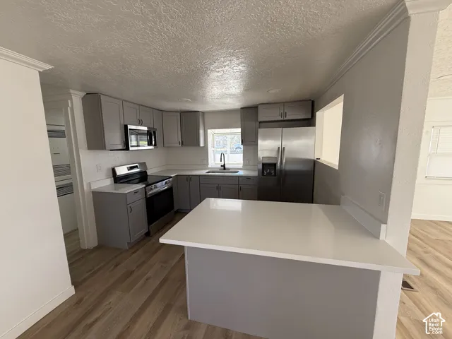 Kitchen featuring light grey cabinetry, stainless steel appliances, white countertops, and wood-finish flooring