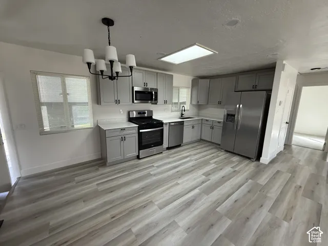 Kitchen featuring light wood-finish flooring, gray cabinetry with black hardware, white countertops, and stainless steel appliances