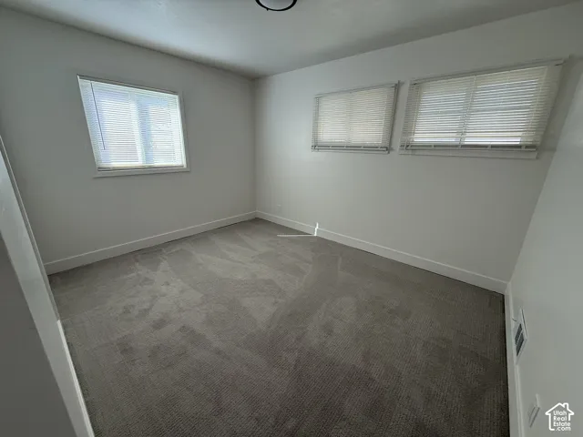 Gray carpeted flooring, white walls, and multiple windows with blinds