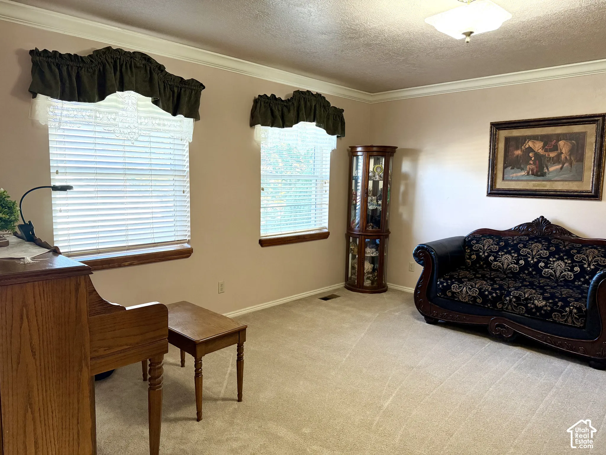 Plush carpeting, crown molding, and two windows with blinds