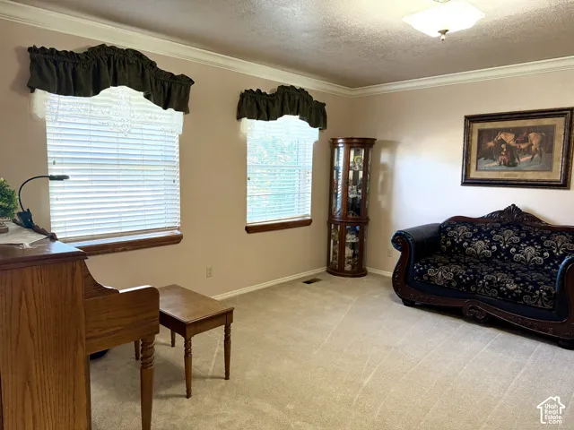 Plush carpeting, crown molding, and two windows with blinds