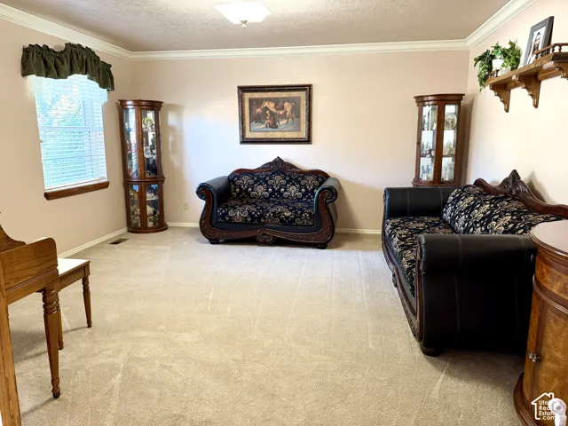 Wall-to-wall carpeting and crown molding