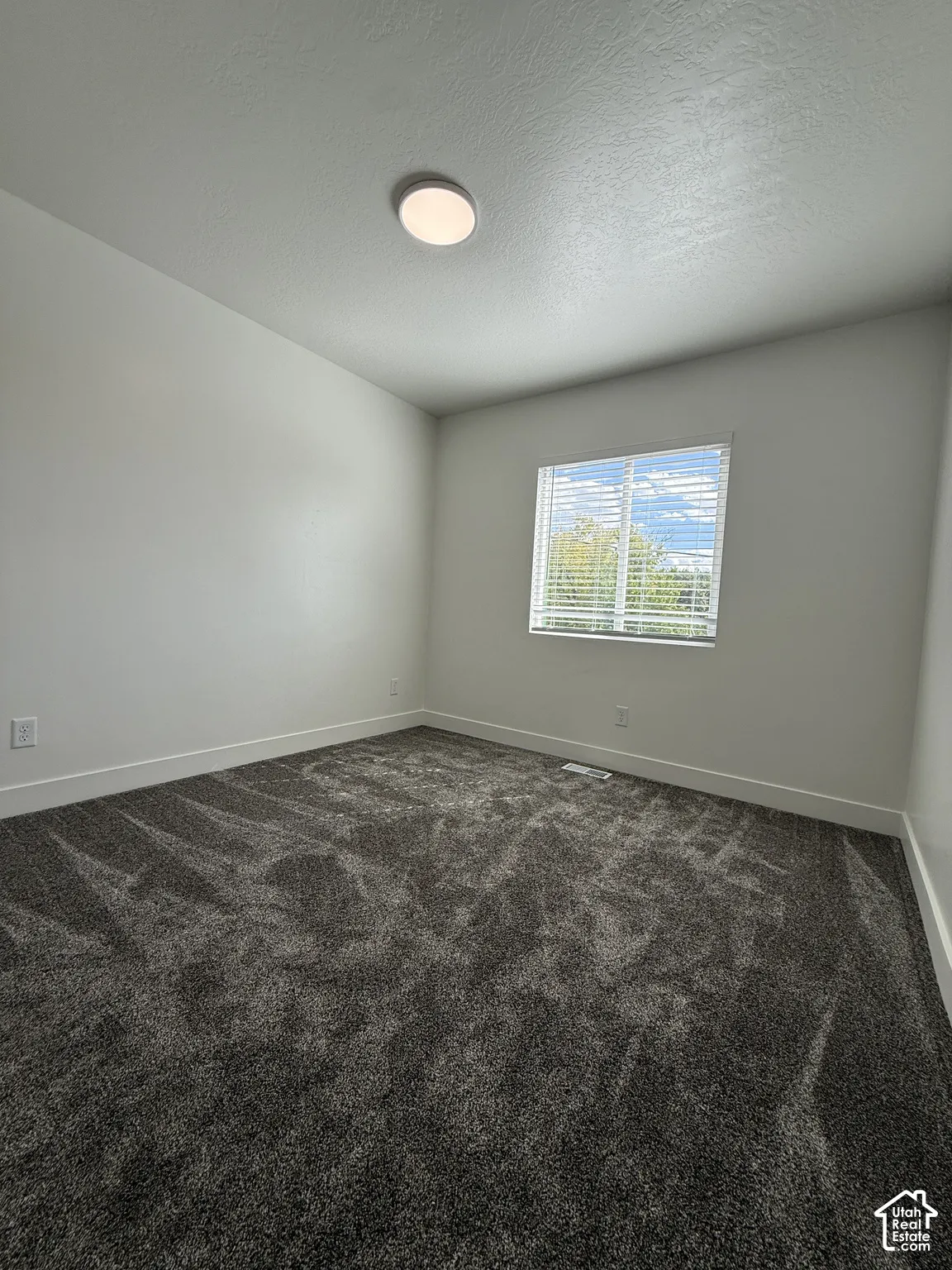 Neutral wall tones, plush carpeting, ceiling-mounted light fixture, and window with blinds