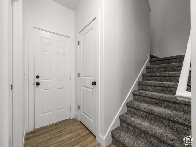 Wood-finish flooring, white paneled doors with matte black hardware, and carpeted staircase with white handrail