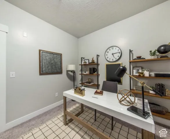 Walls with light gray paint, white trim, and carpeted flooring
