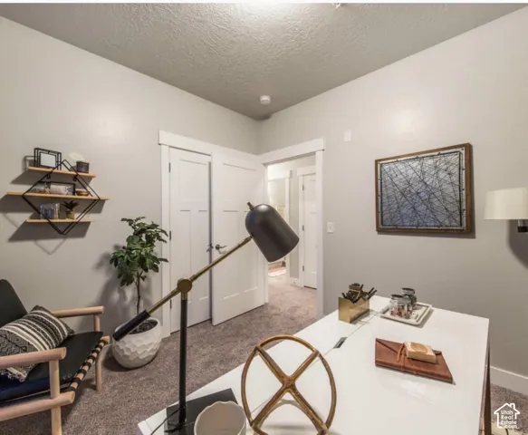 Plush carpet flooring, neutral paint, white trim, and solid core doors