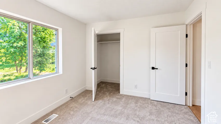Carpeted flooring, white walls, double-pane window, flush panel doors, and matte black hardware