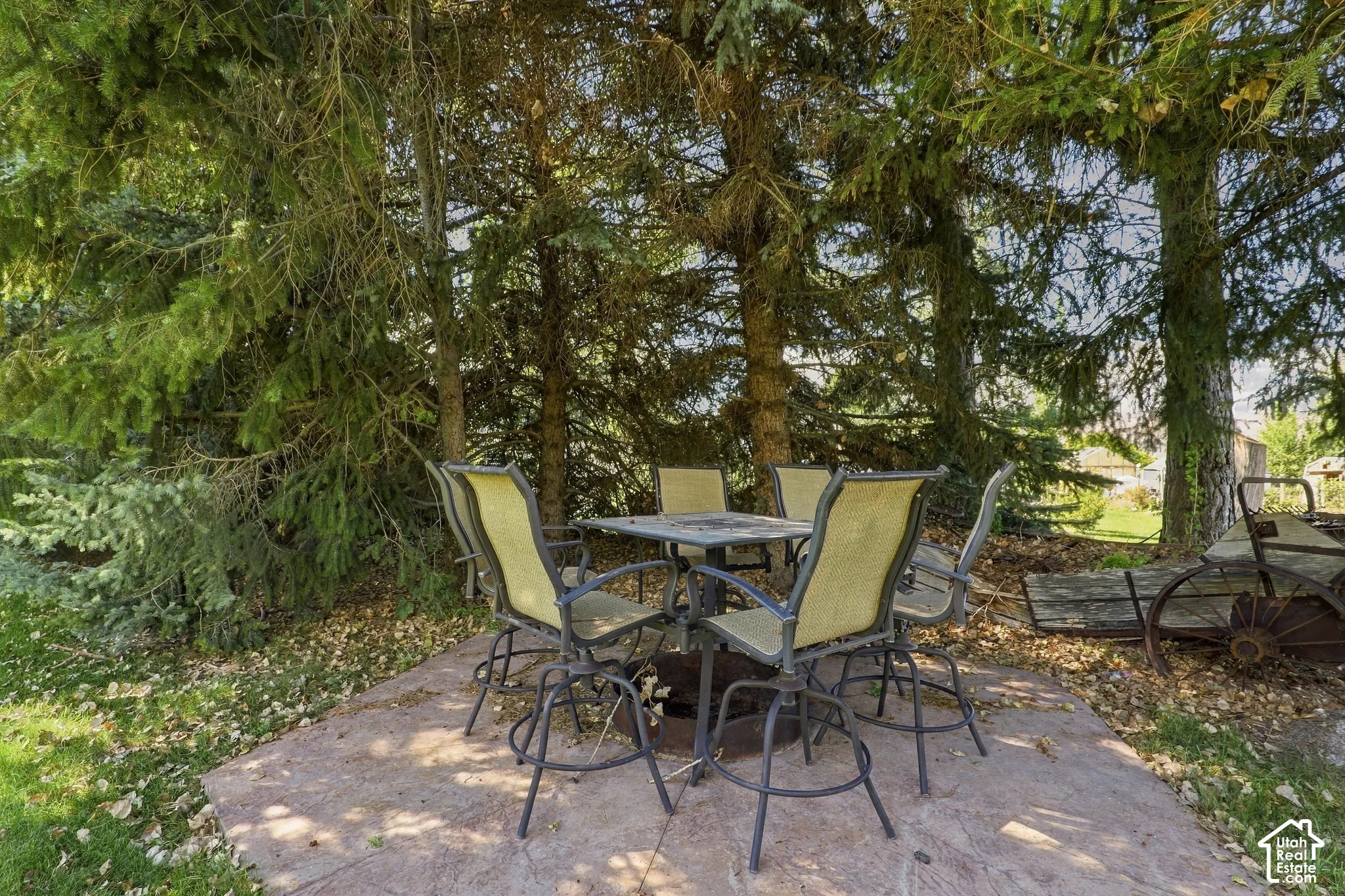 Outdoor patio featuring a concrete surface and surrounding mature trees