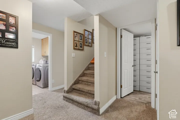 Carpeted staircase with white risers, laundry area with light wood cabinetry, white paneled doors, and wood-finish flooring in the closet