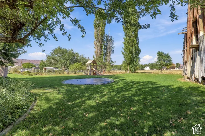 Expansive grassy yard with mature trees and a play structure