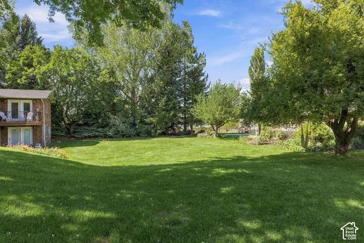 Expansive lawn area with mature trees and established landscaping