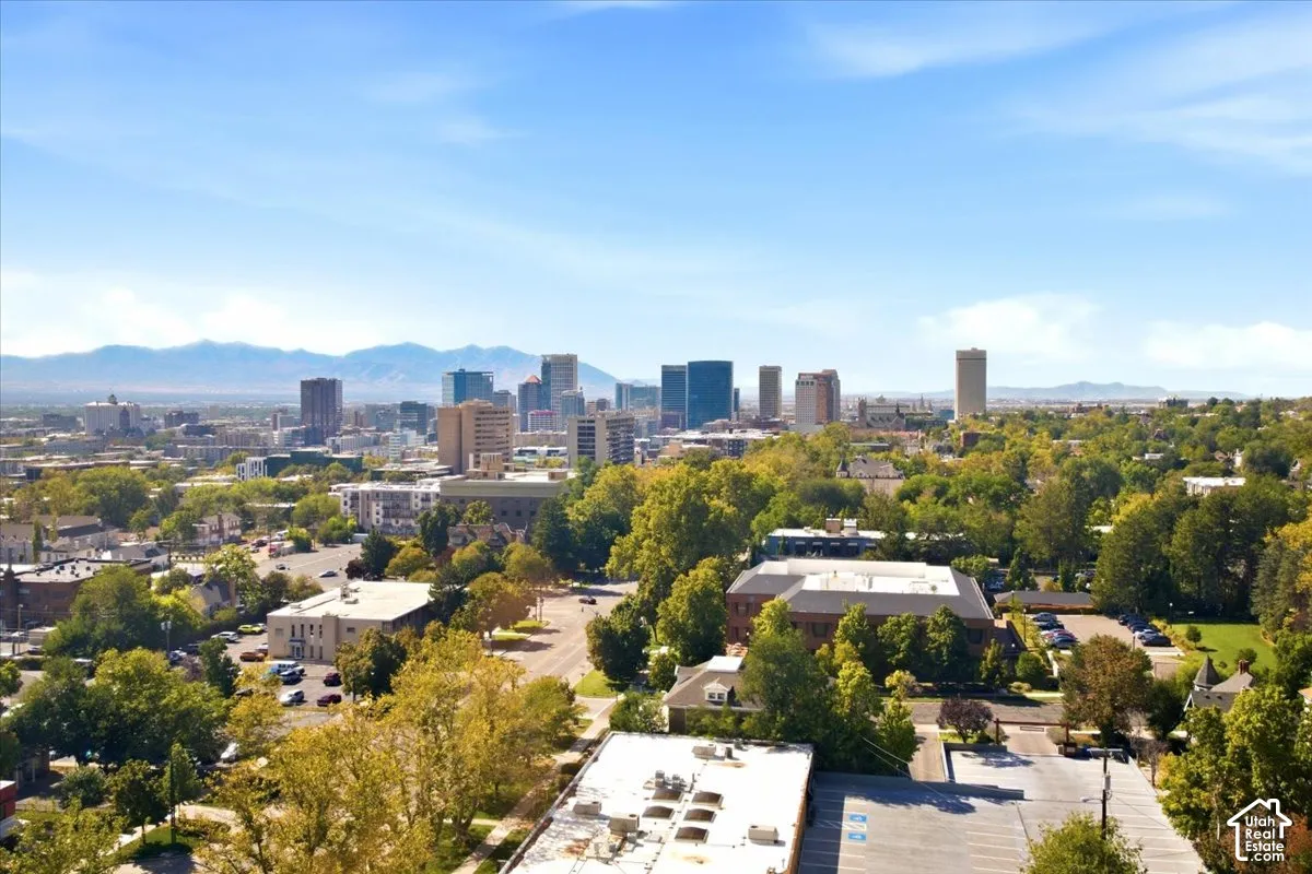 Expansive urban panorama featuring a city skyline, distant mountains, established streetscapes with mature trees