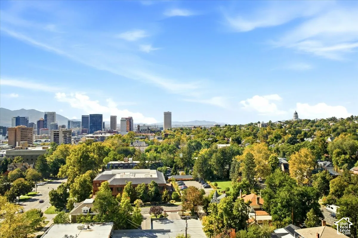 City skyline with distant mountains and a tree-lined landscape is your view!