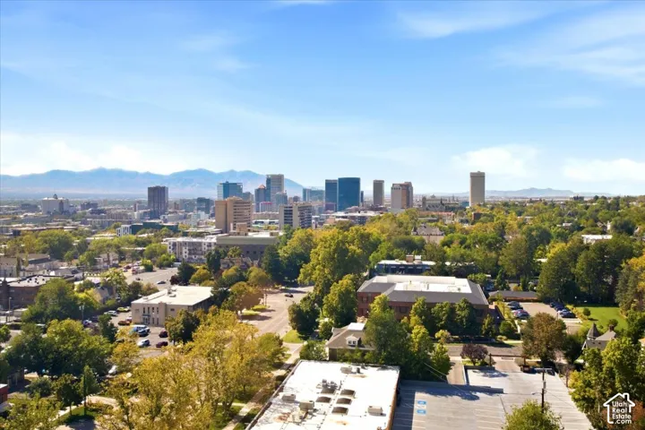 Expansive urban panorama featuring a city skyline, distant mountains, established streetscapes with mature trees