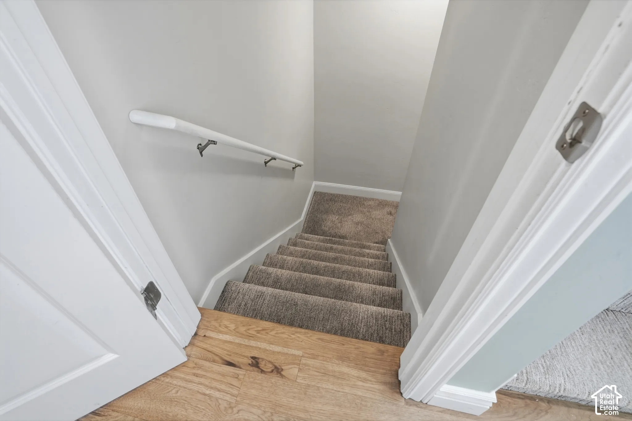 Staircase featuring wood-finish flooring, carpeted steps, a white handrail, and white trim