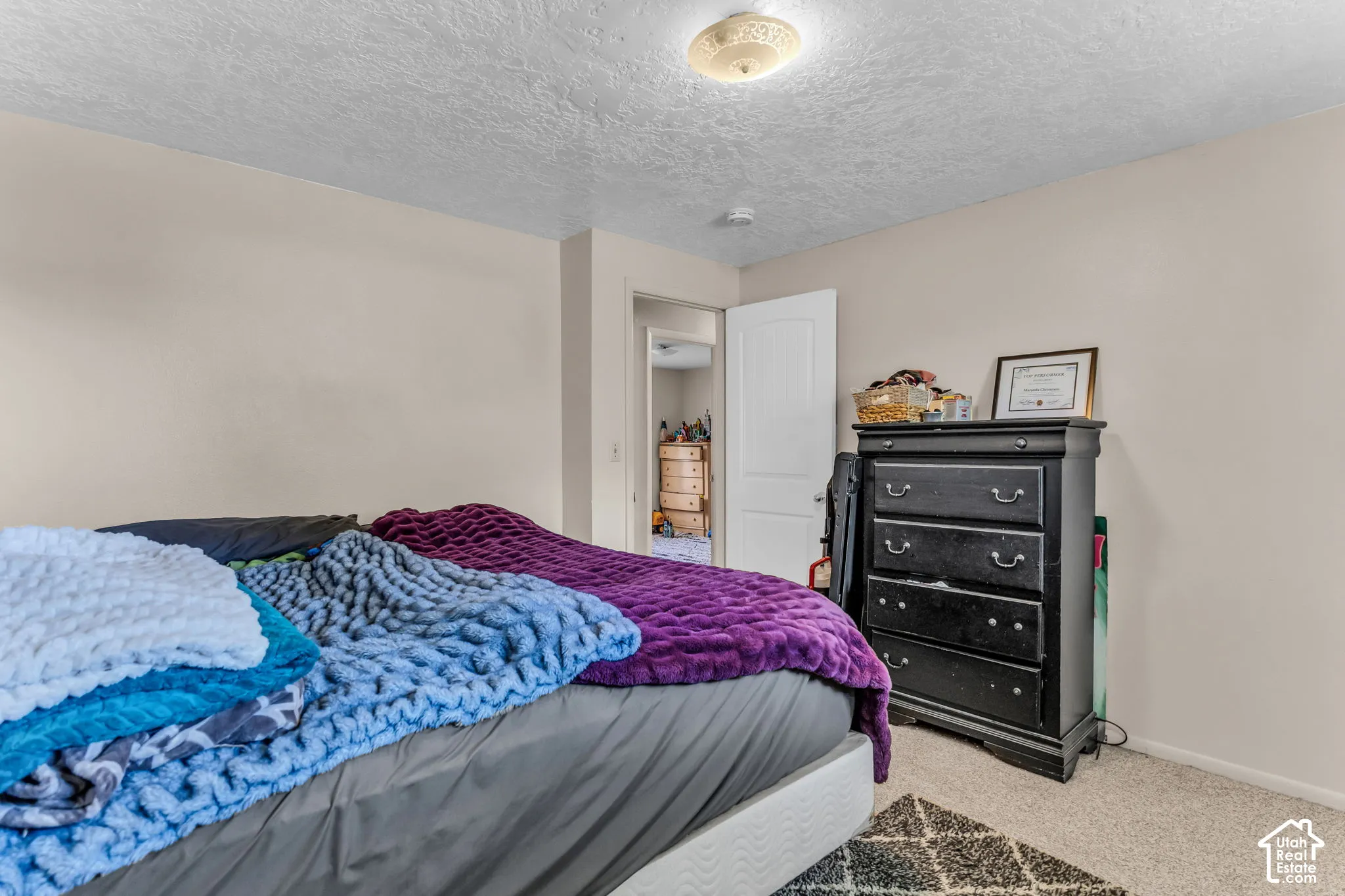 Neutral wall tones, ceiling-mounted light fixture, and carpeted flooring