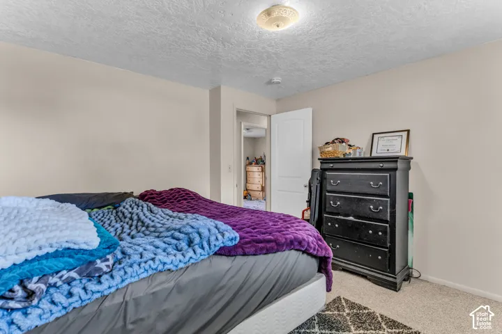 Neutral wall tones, ceiling-mounted light fixture, and carpeted flooring