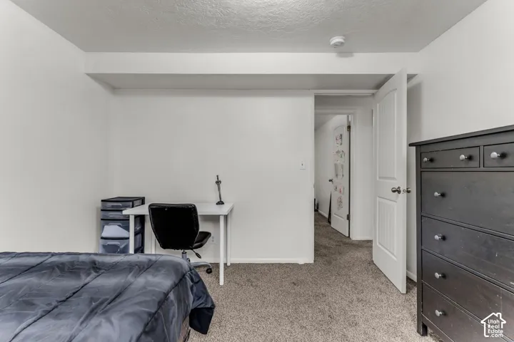 Carpeted flooring, white interior doors with paneled design, and neutral wall finishes