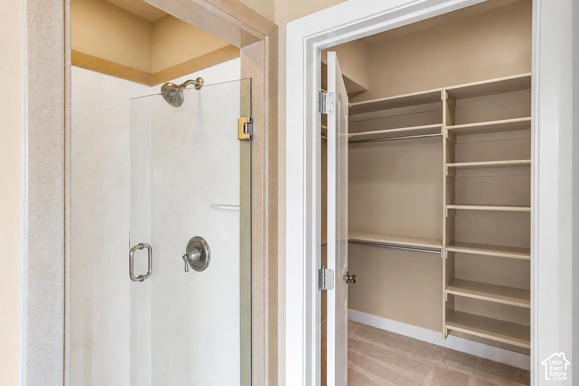 Glass-enclosed shower with a brushed nickel shower head and control