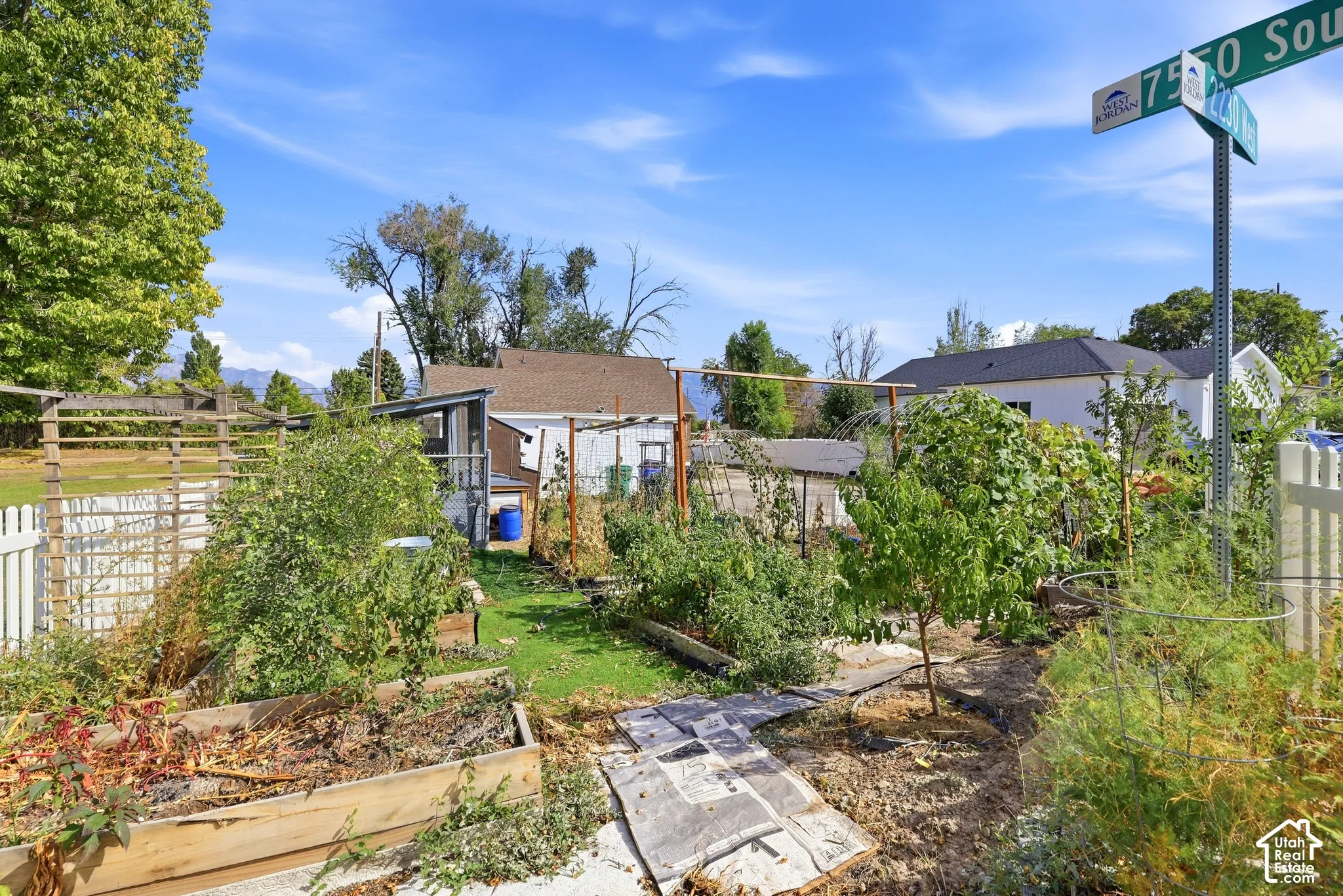Expansive garden area featuring raised planter beds, established greenery, and a white picket fence