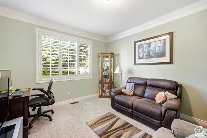 Window with interior shutters, crown molding, light-toned carpeting, and a built-in display cabinet